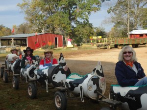 Having fun on the Patterson Farm cow train