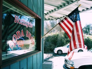 American Pride on the 4th of July (Ed Pilegard, photographer, used with permission)