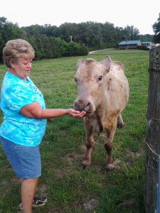 Sweetie, enjoying a little attention from Mary Ann.