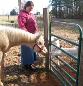 Enjoying a morning visit with the goats.