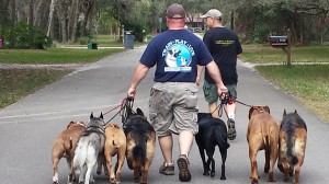 Glenn Sherrill, making his dreams come true one dog at a time, or in this case, seven at a time.