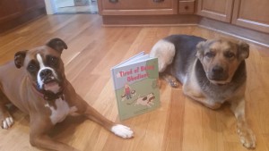 Kaner and Rocko know a good book when they see one.